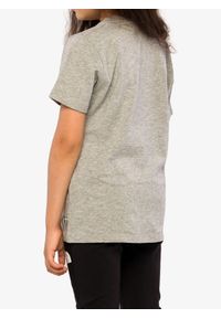 Fjällräven - Koszulka bawełniana dziecięca Fjallraven Kids Forest Findings T-shirt. Kolor: szary. Materiał: bawełna