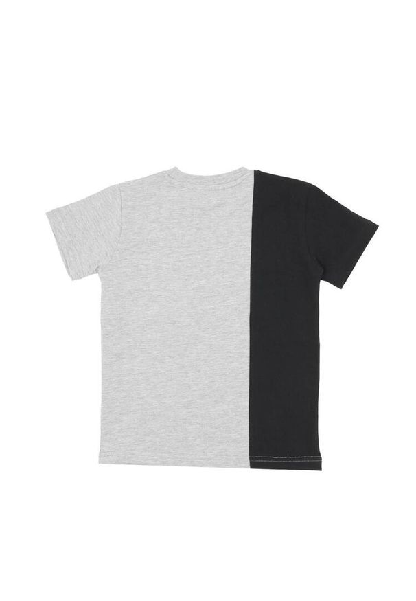 LEONE 1947 APPAREL - Pionowa, dwukolorowa koszulka dziecięca z krótkim rękawem klasy Junior. Kolor: szary. Długość rękawa: krótki rękaw. Długość: krótkie. Sport: joga i pilates