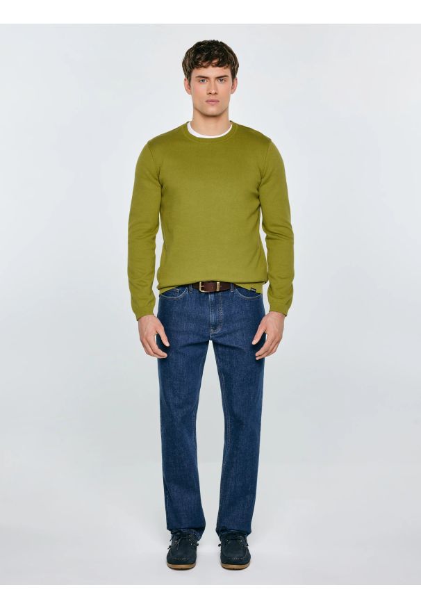 Big-Star - Sweter męski bawełniany zielony Simoner 301. Okazja: na co dzień. Kolor: zielony. Materiał: bawełna. Długość rękawa: długi rękaw. Długość: długie. Wzór: gładki, aplikacja, ze splotem. Styl: casual, klasyczny