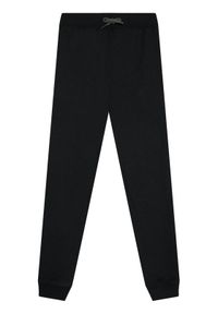 Name it - NAME IT Spodnie dresowe Bru Noos 13153665 Czarny Regular Fit. Kolor: czarny. Materiał: bawełna #1