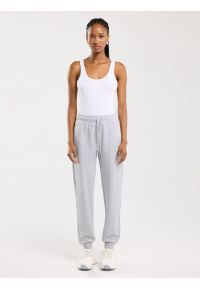 Big-Star - Spodnie damskie dresowe szare Kathy 901. Kolor: szary. Materiał: dresówka. Wzór: nadruk #10