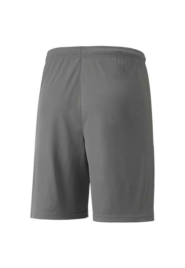 Szorty Puma Team Liga. Kolor: szary, wielokolorowy, biały. Materiał: poliester, syntetyk, materiał. Sport: fitness, piłka nożna