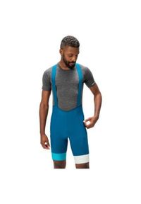 ENDURA - Spodenki rowerowe męskie Endura Loop Bibshort. Kolor: niebieski. Długość: krótkie. Sezon: lato