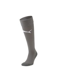 Puma - Skarpety Piłkarskie Unisex Dla Dorosłych Liga Core. Kolor: szary. Sport: piłka nożna