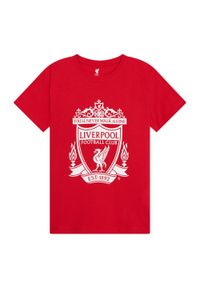 LIVERPOOL FC - koszulka dziecięca Liverpool FC - czerwona. Kolor: czerwony. Materiał: bawełna
