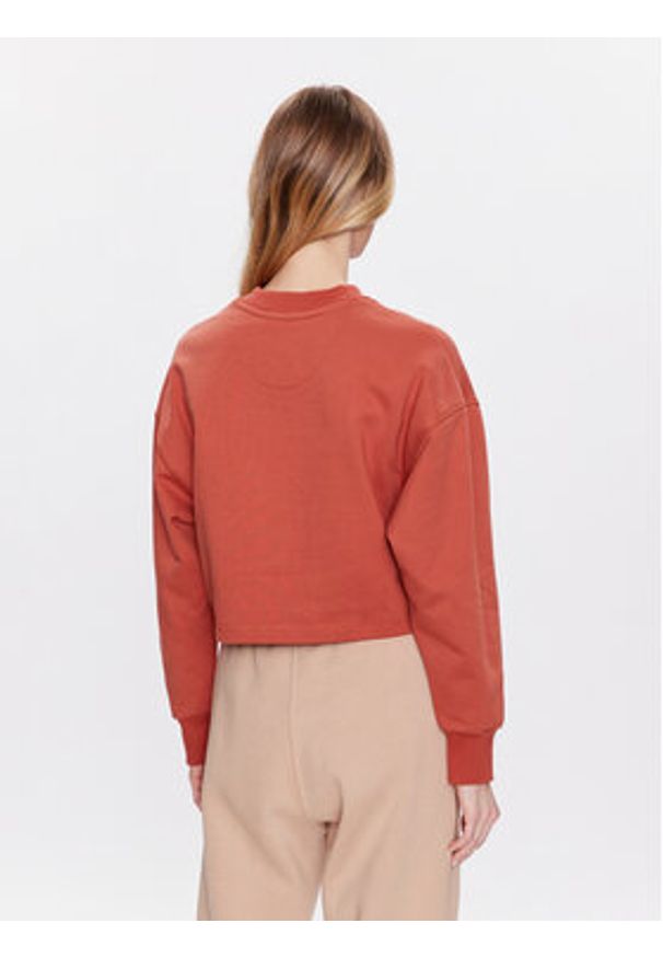 New Balance Bluza Athletics Nature WT23555 Brązowy Relaxed Fit. Kolor: brązowy. Materiał: bawełna