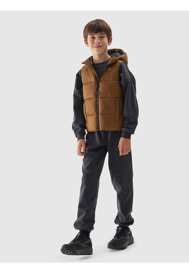 4f - 4F Bezrękawnik puchowy pikowany z kapturem chłopięcy - brązowy 146 (10-11 lat). Okazja: na co dzień. Typ kołnierza: kaptur. Kolor: brązowy. Długość: krótkie. Wzór: gładki. Materiał: puch. Długość rękawa: bez rękawów. Sezon: lato. Styl: casual, klasyczny, sportowy