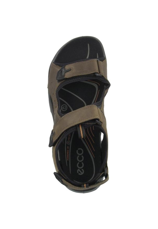 ecco - Buty do chodzenia męskie Ecco Offroad. Zapięcie: rzepy. Kolor: brązowy. Materiał: guma, skóra. Sport: turystyka piesza