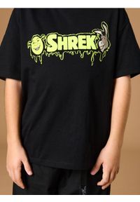 Sinsay - Koszulka Shrek - czarny. Kolor: czarny. Materiał: bawełna. Wzór: nadruk #1