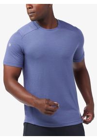 Koszulka treningowa męska Smartwool Active Mesh Short Sleeve Tee. Kolor: niebieski. Materiał: mesh. Sport: fitness