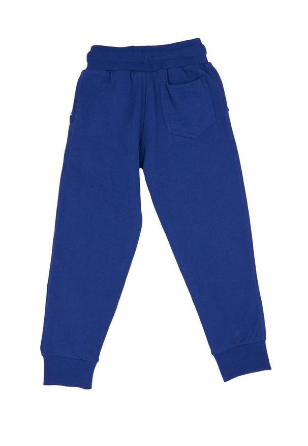 LEONE 1947 APPAREL - Dziecięce joggery basic z dużym logo. Kolor: niebieski. Sport: joga i pilates
