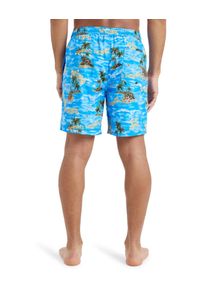 Quiksilver - Szorty kąpielowe dla Mężczyzn EVERYDAY STRAIGHT VOLLEY 17" Niebieski. Kolor: niebieski. Materiał: poliester, materiał. Styl: sportowy