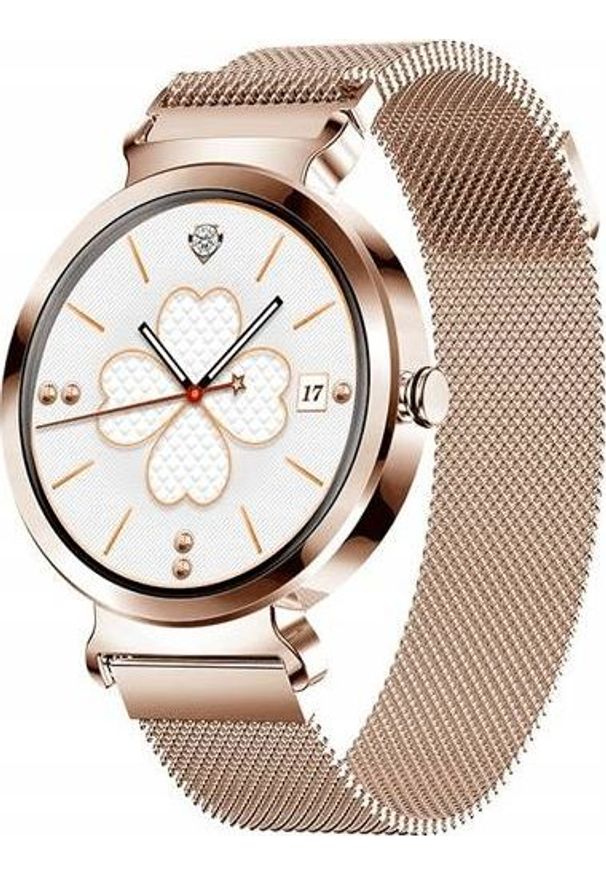 Smartwatch Bakeeley SD-1 Różowe złoto. Rodzaj zegarka: smartwatch. Kolor: różowy, złoty, wielokolorowy