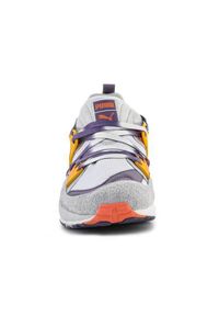 Buty do chodzenia męskie Puma Blaze Of Glory Psychedelics M. Zapięcie: sznurówki. Kolor: szary. Materiał: materiał, tkanina, syntetyk. Szerokość cholewki: normalna. Sport: turystyka piesza