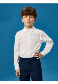 Sinsay - Bawełniana klasyczna koszula - biały. Kolor: biały. Materiał: bawełna. Styl: klasyczny #1