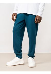 outhorn - Spodnie dresowe męskie. Materiał: dresówka #5