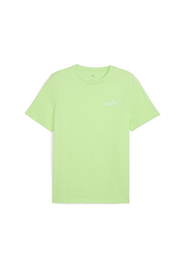 Puma - Męska koszulka Essentials z małym logo No. 1 PUMA Spring Fern Green. Kolor: zielony. Wzór: haft. Sport: fitness