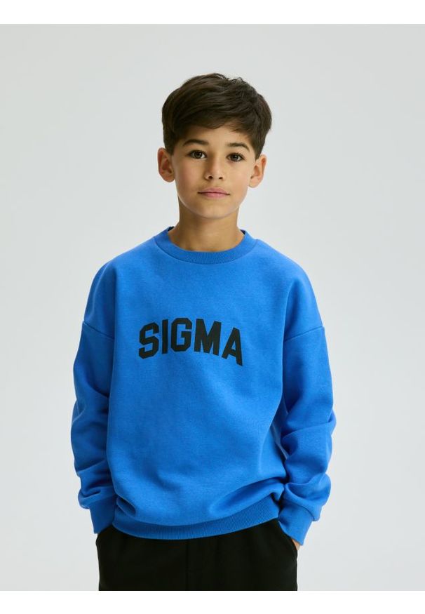 Reserved - Bluza z nadrukiem - niebieski. Kolor: niebieski. Materiał: bawełna, dzianina. Wzór: nadruk