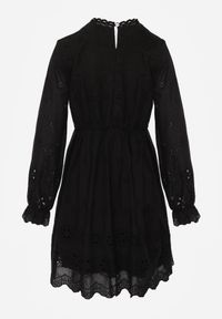 Born2be - Czarna Sukienka w Rustykalnym Stylu z Haftowanej Tkaniny z Bawełną Delogana. Okazja: na co dzień. Kolor: czarny. Materiał: tkanina, bawełna. Wzór: haft. Typ sukienki: rozkloszowane, proste. Styl: casual, elegancki #7