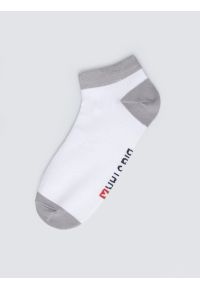 Big-Star - Stopki bawełniane szaro-białe Filixos 902. Kolor: szary. Materiał: bawełna #1