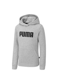 Dres dla dzieci Puma ESS. Kolor: szary. Materiał: dresówka #1