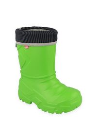 Befado obuwie dziecięce kalosz- zielony 162Y303 zielone. Kolor: zielony