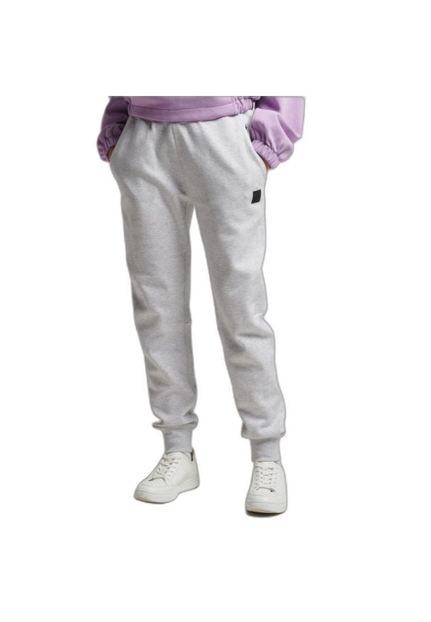 Spodnie turystyczne damskie Superdry Code Tech. Kolor: szary. Materiał: poliester, bawełna. Sport: turystyka piesza