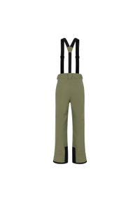 DARE 2B - Męskie Spodnie Narciarskie Wodoodporne Z Szelkami Achieve II. Kolor: zielony. Sezon: zima. Sport: narciarstwo #1