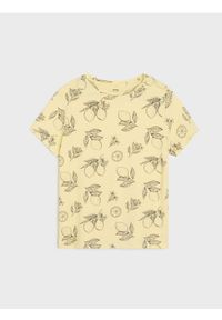 Sinsay - Koszulka z nadrukiem w cytryny - Inny. Wzór: nadruk #1