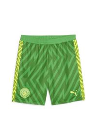 Puma - Szorty bramkarskie Manchester City PUMA Grassy Green Yellow Alert. Kolor: zielony, wielokolorowy, żółty. Sport: piłka nożna