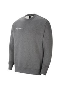 Bluza sportowa dla dzieci Nike Flecee Park20 Crew. Kolor: szary