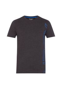 Koszulka męska Energetics Gascon III 302741. Materiał: materiał, włókno, poliester, bawełna. Wzór: aplikacja. Sport: fitness #5