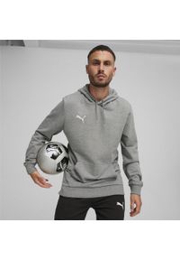 Bluza sportowa męska Puma B23611. Typ kołnierza: kaptur. Kolor: szary