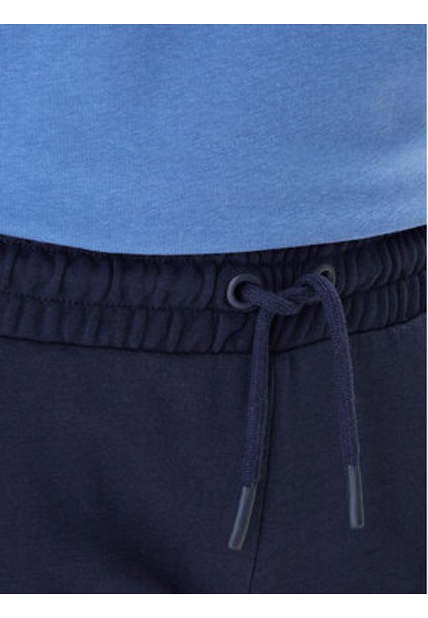 Kappa Spodnie dresowe Festa 331M34W Granatowy Regular Fit. Kolor: niebieski. Materiał: bawełna