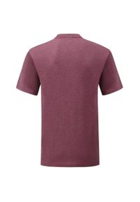 FRUIT OF THE LOOM - Koszulka Unisex Dla Dorosłych Valueweight. Kolor: czerwony, wielokolorowy, brązowy