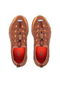 Polo Ralph Lauren Sneakersy Advntr 300lt Sk Ltl 804972897003 Brązowy. Kolor: brązowy. Materiał: materiał #3