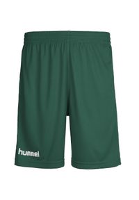 Spodenki sportowe dziecięce Hummel Core Kids Poly Shorts. Kolor: zielony. Styl: sportowy