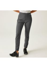 Regatta - Damskie spodnie trekkingowe Pentre Stretch. Kolor: zielony, szary, wielokolorowy. Materiał: poliester, elastan. Sezon: lato. Sport: wspinaczka, turystyka piesza #1