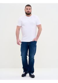 Big-Star - Koszulka męska bawełniana biała Basic 101. Kolor: biały. Materiał: bawełna. Wzór: gładki. Styl: klasyczny