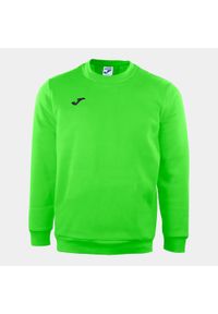 Bluza fitness dla dzieci Joma Cairo II. Kolor: niebieski, wielokolorowy, zielony. Sport: fitness