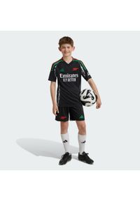 Adidas - Szorty Arsenal 24/25 Away Kids. Kolor: czarny. Materiał: materiał