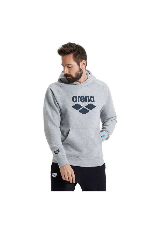 Bluza Arena Hooded Sweat Logo z kapturem. Typ kołnierza: kaptur. Kolor: szary. Materiał: bawełna