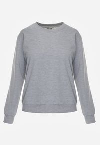 Renee - Szara Casualowa Bluza z Bawełną Akko. Okazja: na co dzień. Kolor: szary. Materiał: bawełna. Styl: casual #4