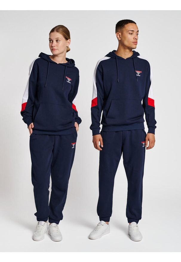 Bluza z kapturem Hummel IC Claude. Typ kołnierza: kaptur. Kolor: niebieski