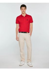 Big-Star - Koszulka męska polo bordowa Polian 604. Typ kołnierza: polo. Kolor: czerwony. Materiał: dzianina, materiał, bawełna. Wzór: haft, paski, aplikacja. Styl: klasyczny, elegancki #6