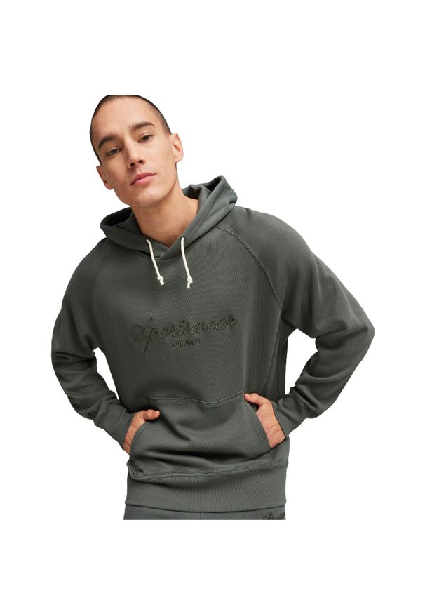 Bluza z kapturem męskie Puma Classics Hoodie. Typ kołnierza: kaptur. Kolor: szary. Materiał: bawełna, materiał