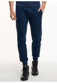 Ochnik - Spodnie męskie. Kolor: niebieski. Materiał: bawełna #1