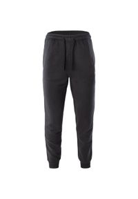 Męskie spodnie dresowe bawełniane treningowe joggery Magnum Ibis. Kolor: czarny. Materiał: dresówka, bawełna. Długość: długie