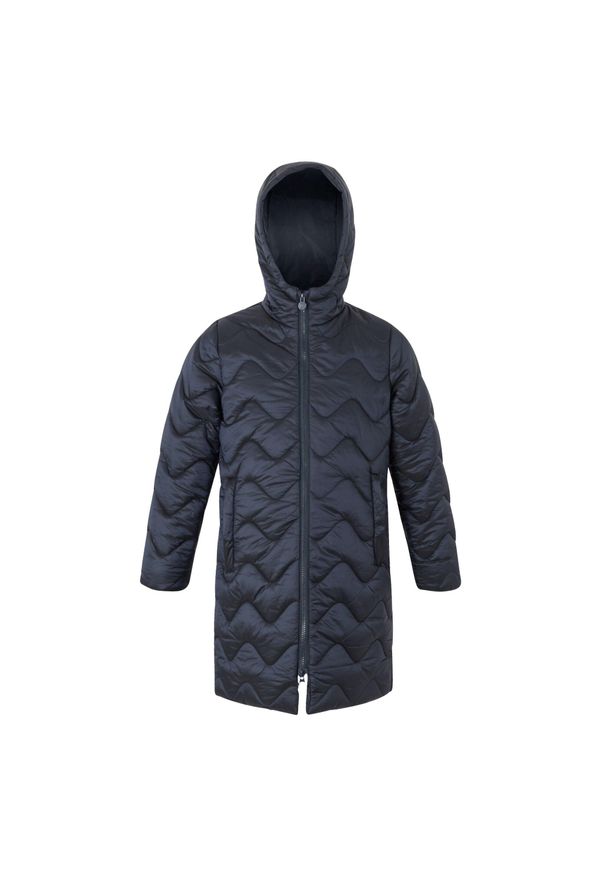 Dziecięca kurtka puchowa Regatta Cambrie. Kolor: niebieski. Materiał: puch. Styl: sportowy