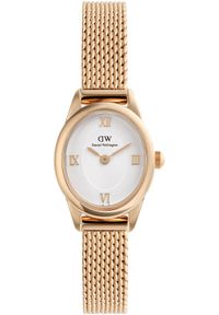 Zegarek Daniel Wellington Zegarek damski Daniel Wellington DW00100940 różowe złoto. Kolor: różowy, złoty, wielokolorowy #1